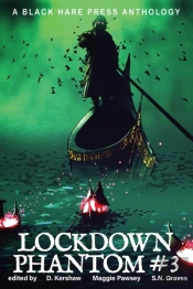 Lockdown Phantom #3