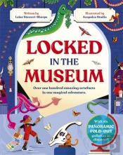 Locked In The Museum