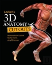 Locket'S 3d Anatomy Cutouts