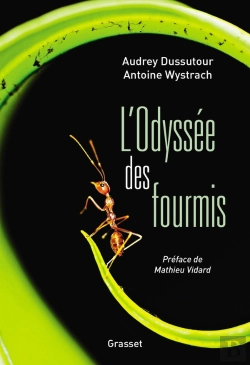 Bertrand.pt - L'Odyssée Des Fourmis