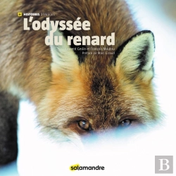 Bertrand.pt - L'Odyssée Du Renard