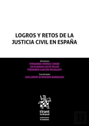 Logros Y Retos De La Justicia Civil En España