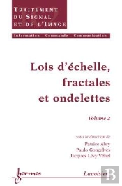 Lois D'Echelles Fractales Et Ondelettes T.2