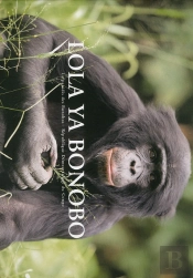 Lola Ya Bonobo 1  Reverse Au Sanctuaire