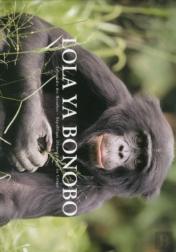 Bertrand.pt - Lola Ya Bonobo 1  Reverse Au Sanctuaire