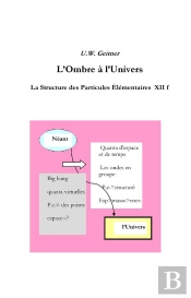 L'Ombre À L'Univers ; La Structure Des Particules Élémentaires Xii F