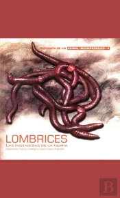 Lombrices