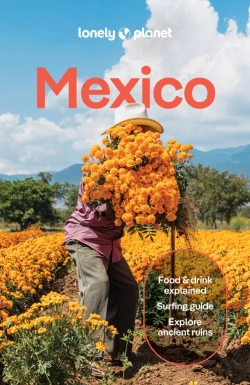 Bertrand.pt - Lonely Planet Mexico