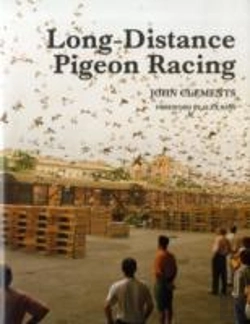 Bertrand.pt - Long-Distance Pigeon Racing