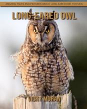 Long-Eared Owl