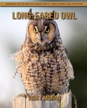 Long-Eared Owl