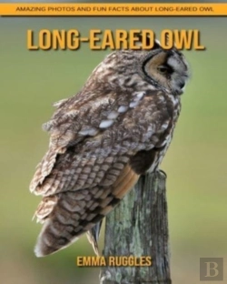 Bertrand.pt - Long-Eared Owl