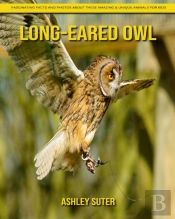 Long-Eared Owl