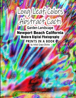 Bertrand.pt - Long Leaf Colors Abstract Cacti Garden L