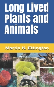 Long Lived Plants And Animals