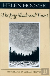 Long-Shadowed Forest