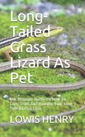 Long-Tailed Grass Lizard As Pet