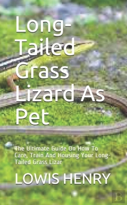 Bertrand.pt - Long-Tailed Grass Lizard As Pet