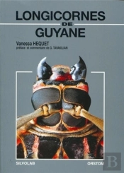 Longicornes De Guyane