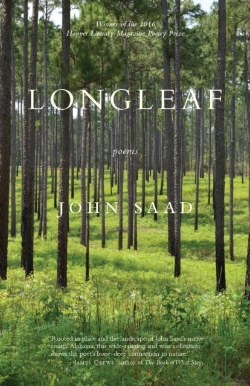 Bertrand.pt - Longleaf