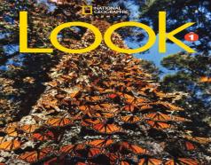 Look 1