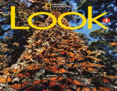 Look 1: Workbook