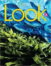 Look 3 (British English)