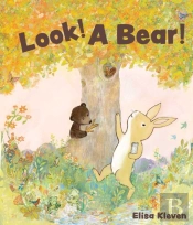 Look! A Bear!