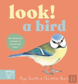 Bertrand.pt - Look! A Bird!