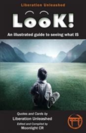 Look!- An Illustrated Guide To Seeing What Is