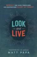 Look And Live Â€“ Behold The Soulâ€“Thrilling, Sinâ€“Destroying Glory Of Christ