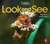 Look And See 1: Big Book Anthology