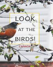Look At The Birds!