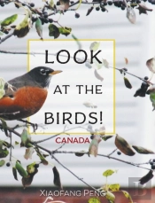 Look At The Birds!