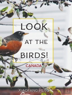 Bertrand.pt - Look At The Birds!