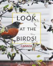 Look At The Birds!