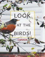 Look At The Birds!