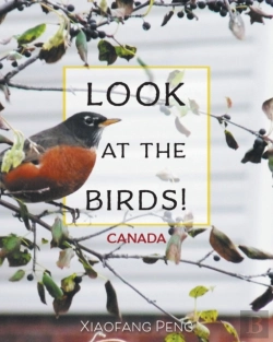 Bertrand.pt - Look At The Birds!