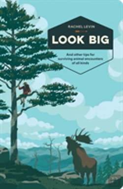 Bertrand.pt - Look Big