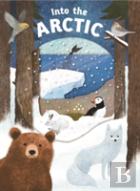 Look Closer Into The Arctic