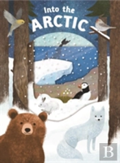 Look Closer Into The Arctic