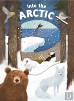 Bertrand.pt - Look Closer Into The Arctic