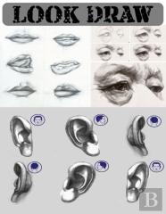 Look Draw