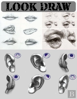Bertrand.pt - Look Draw