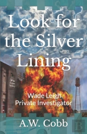 Look For The Silver Lining
