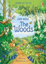 Look Inside The Woods