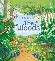 Look Inside The Woods