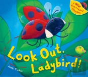 Look Out Ladybird