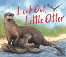 Look Out, Little Otter