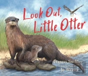 Look Out, Little Otter